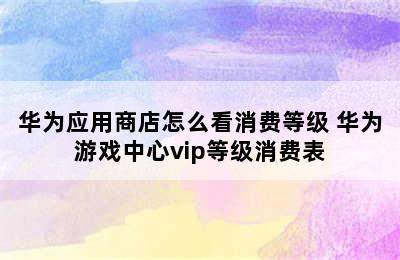 华为应用商店怎么看消费等级 华为游戏中心vip等级消费表